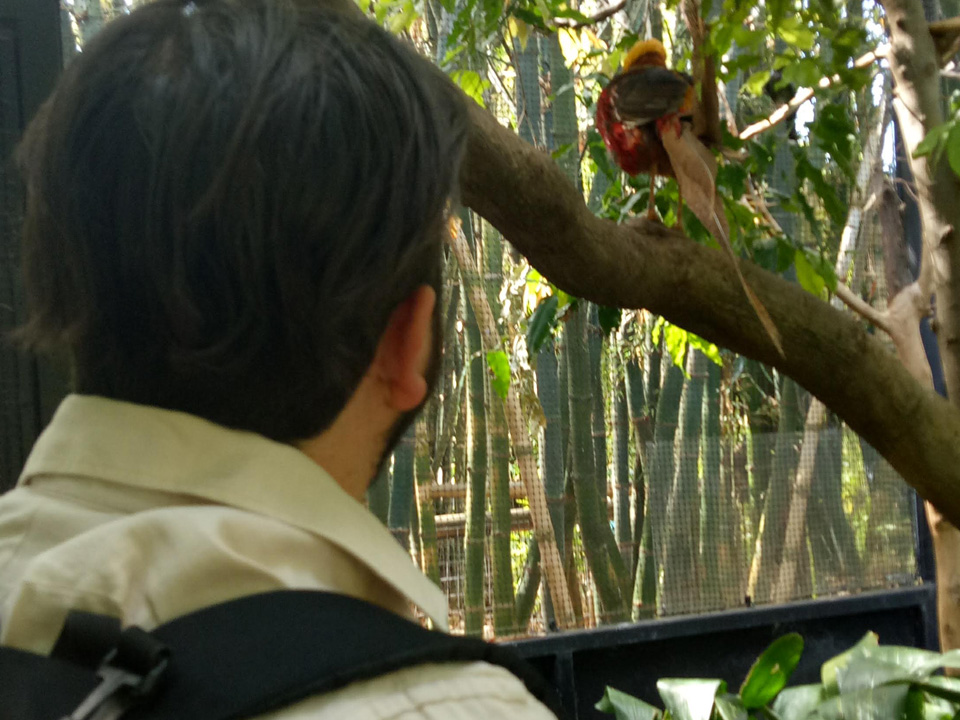 Birdwatching
