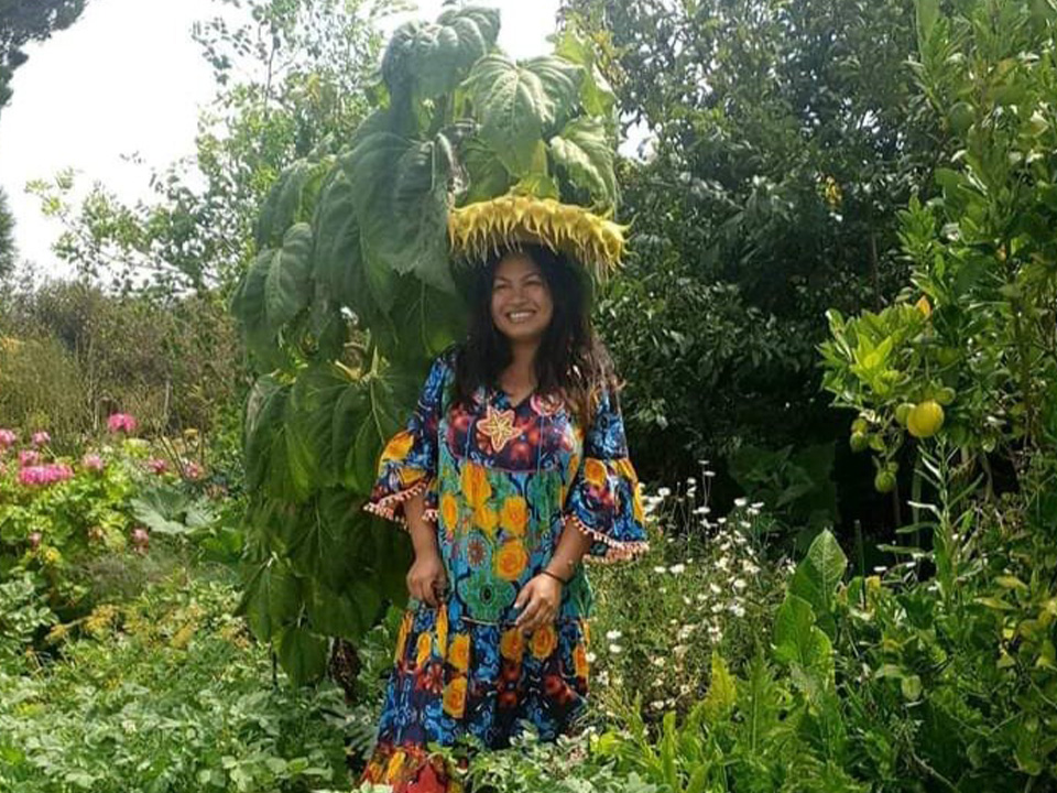 Sunflower